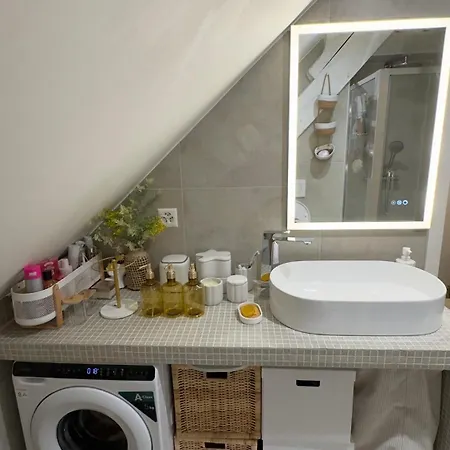 Petit-Chalet-De-Bel-Air Apartment Lausanne