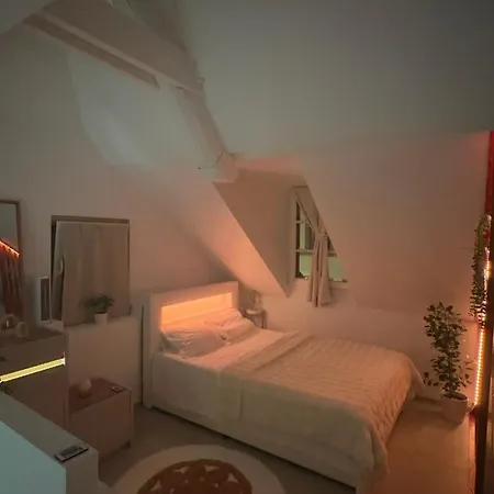 Petit-Chalet-De-Bel-Air Lausanne